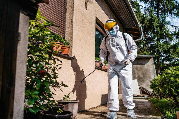 Best Pest Inspection Near Me  in Ormond By The Sea, FL