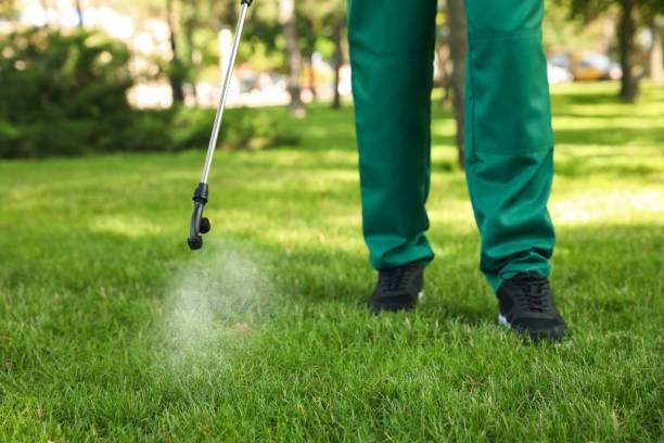 Best Emergency Pest Control  in Ormond By The Sea, FL