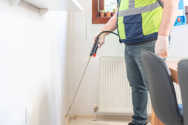 Ormond By The Sea, FL Pest Control Company
