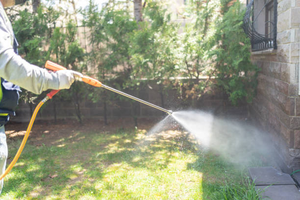 Flea Control Services in Ormond By The Sea, FL