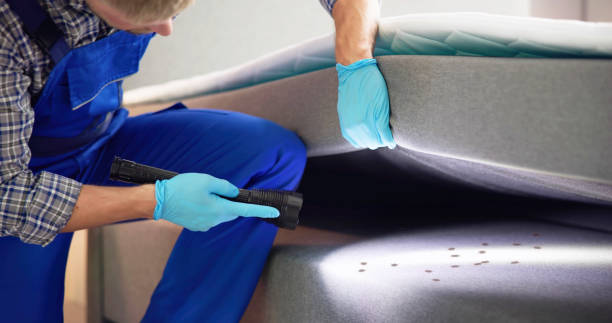 Best Best Pest Control Companies  in Ormond By The Sea, FL