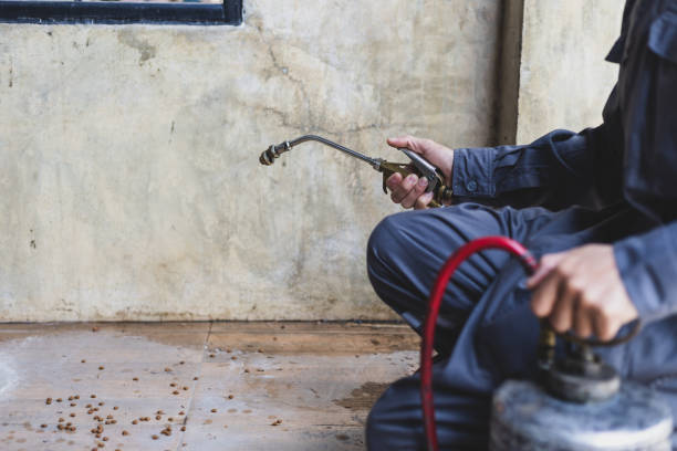 Best Best Pest Control Companies  in Ormond By The Sea, FL
